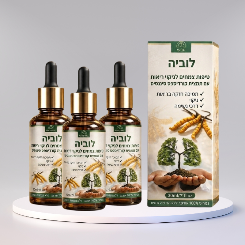 לוביה