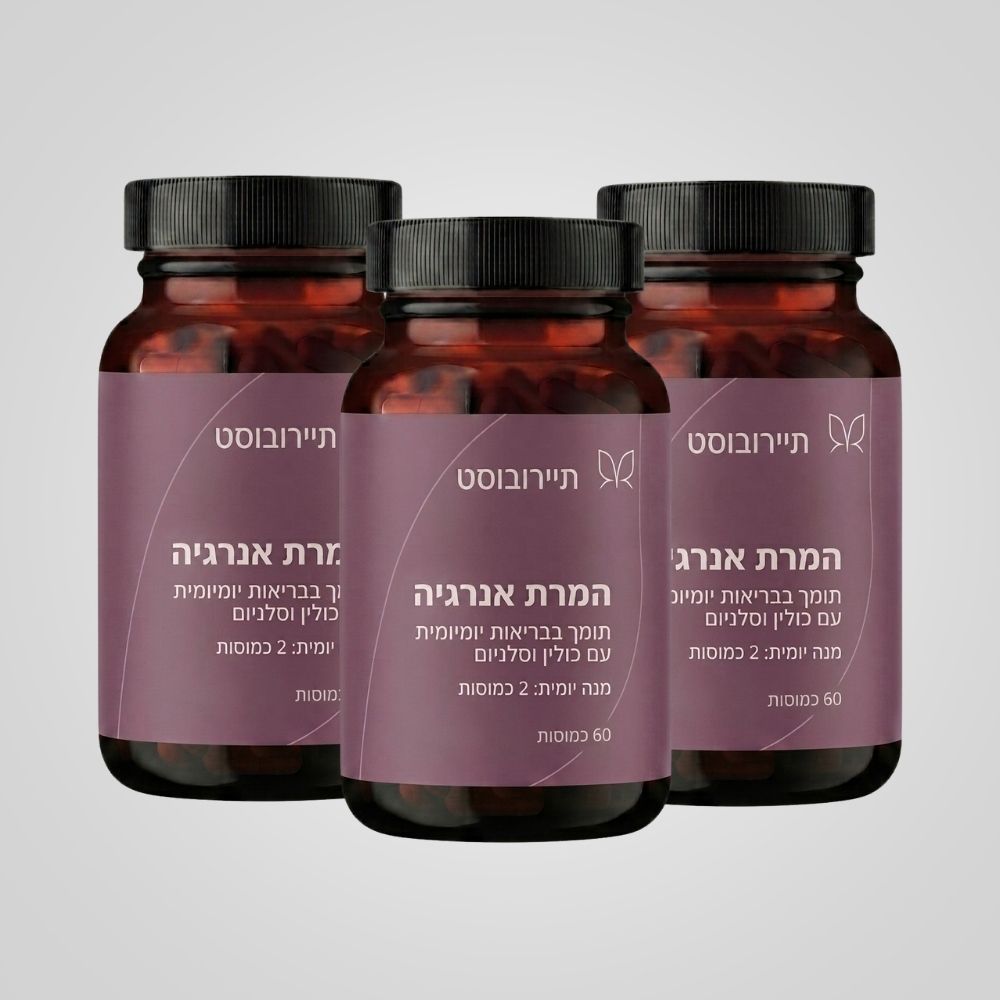 תיירובוסט