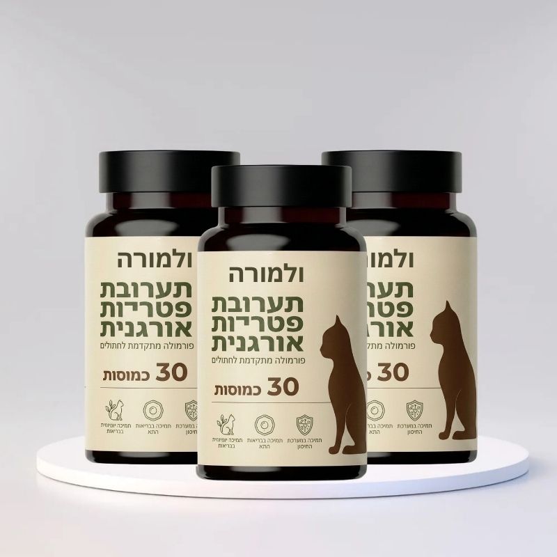 ולמורה