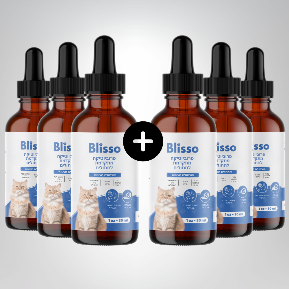 Blisso