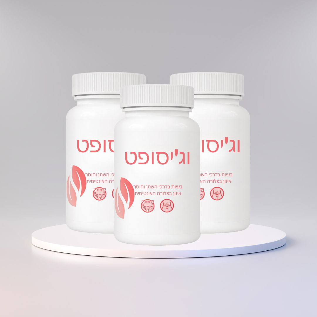 וג'יסופט