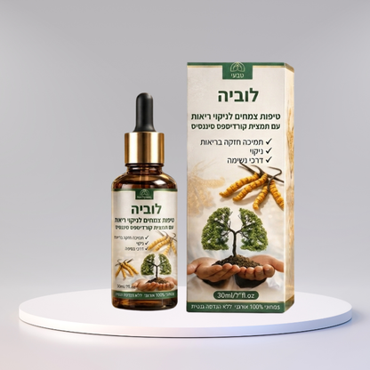לוביה