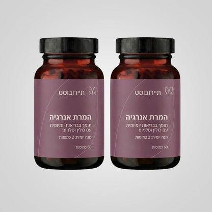 תיירובוסט