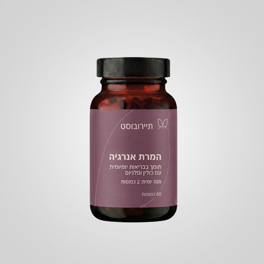 תיירובוסט