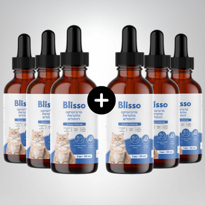 Blisso