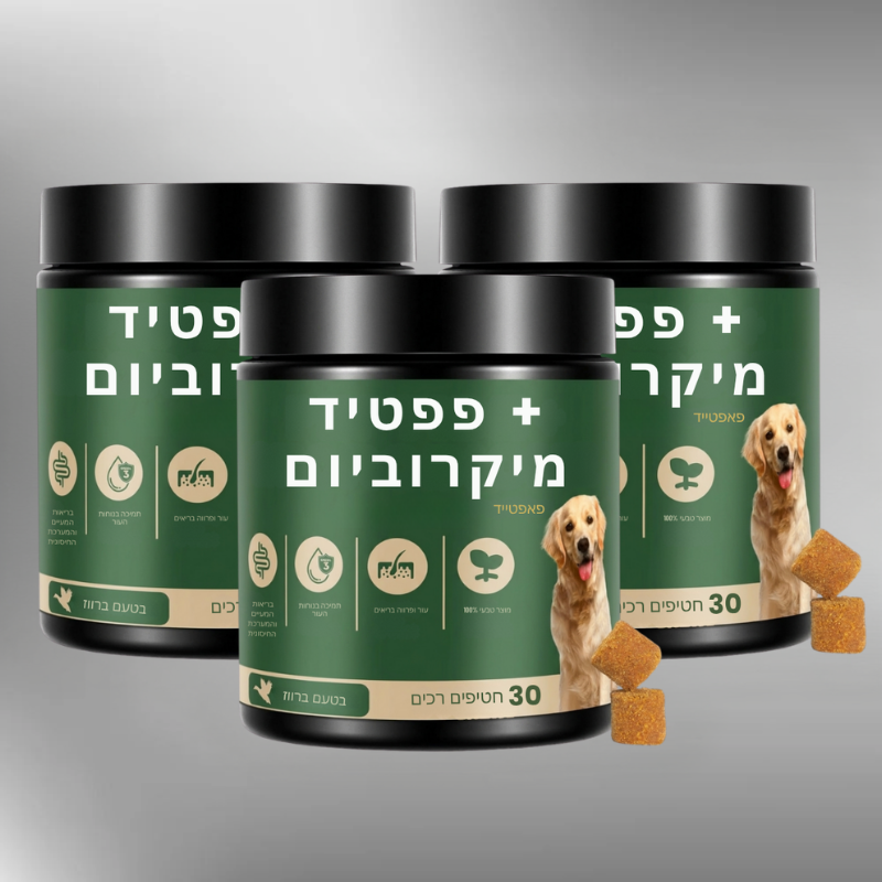 פאפטייד