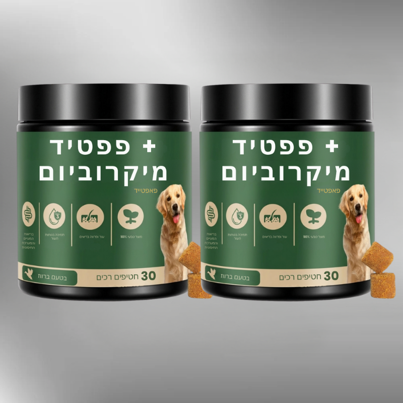 פאפטייד