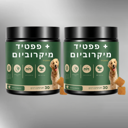 פאפטייד