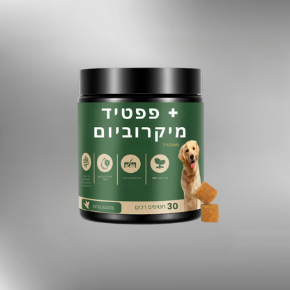 פאפטייד