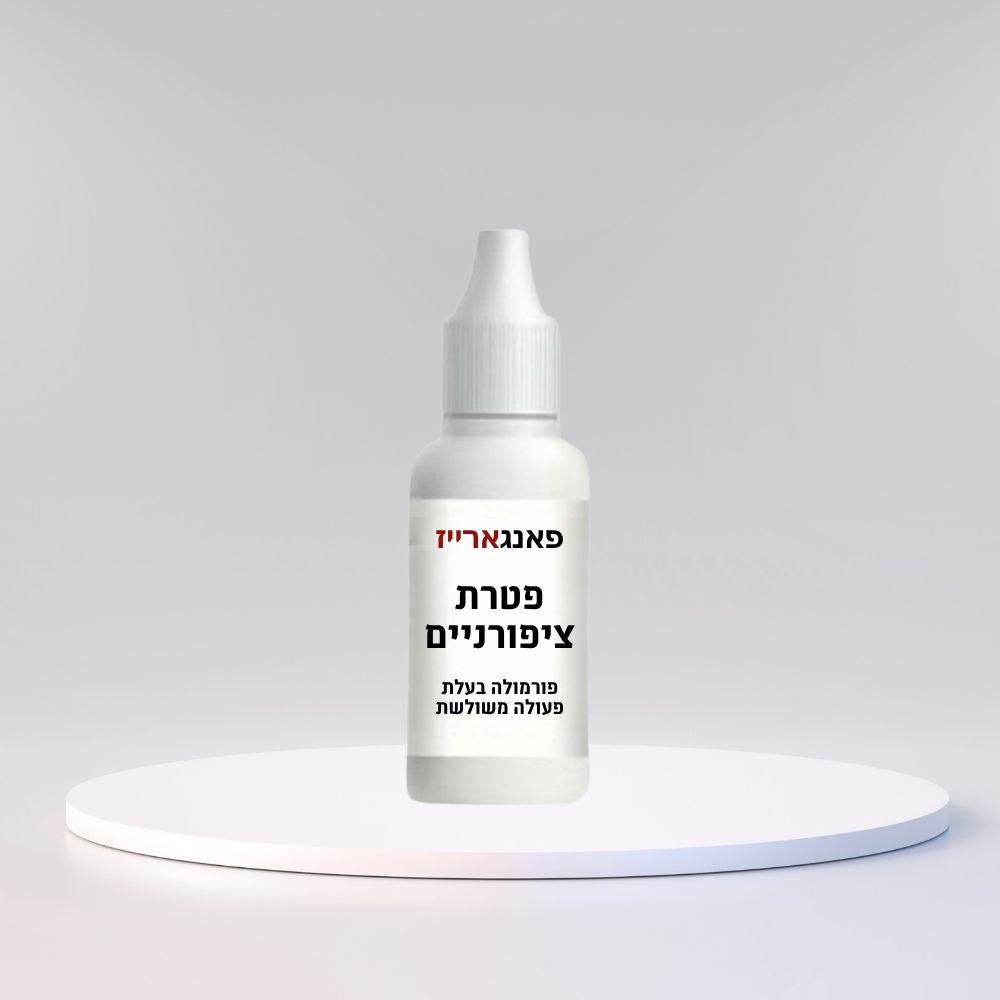 פאנגארייז