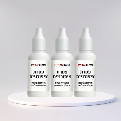 פאנגארייז