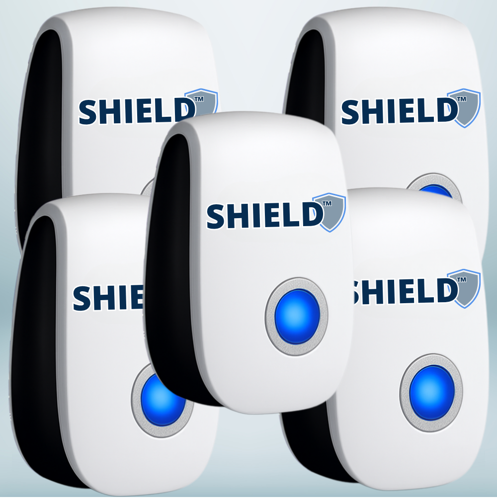 Shield